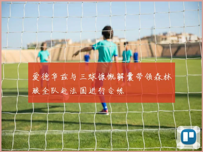 爱德华兹与三球慷慨解囊带领森林狼全队赴法国进行合练
