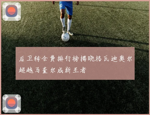 后卫转会费排行榜揭晓格瓦迪奥尔超越马奎尔成新王者